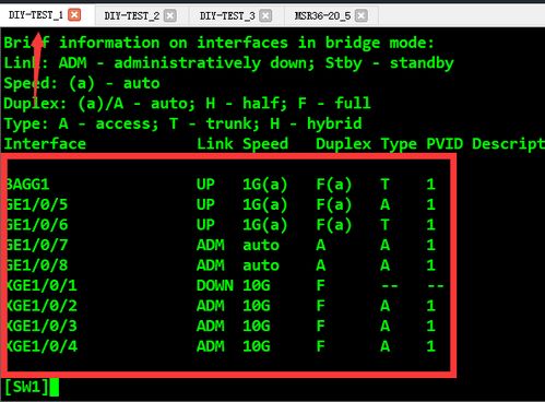 網(wǎng)絡(luò)工程師進(jìn)階篇 解析堆疊分裂